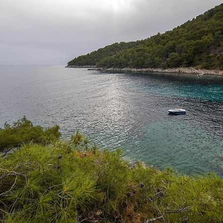 Secluded Fisherman'S Cottage Cove Skozanje, Hvar - 4009 Gdinj Luaran gambar